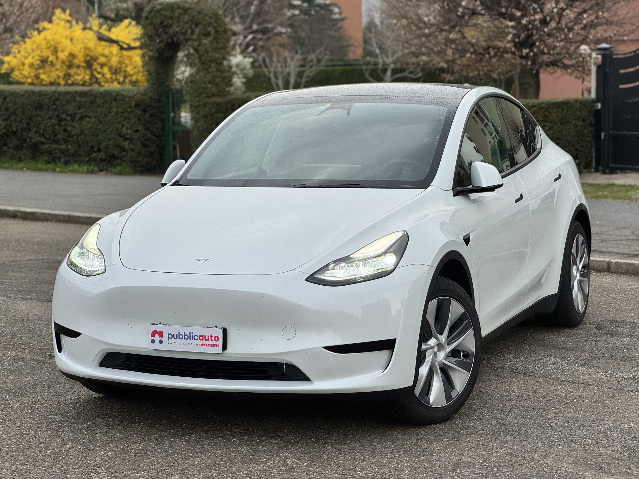 Tesla Model Y venduta con il supporto di AutoVerificata
